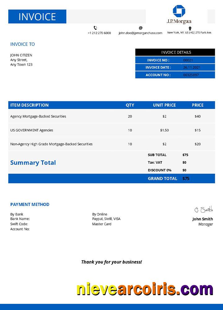 Professional USA JP Morgan Invoice Template