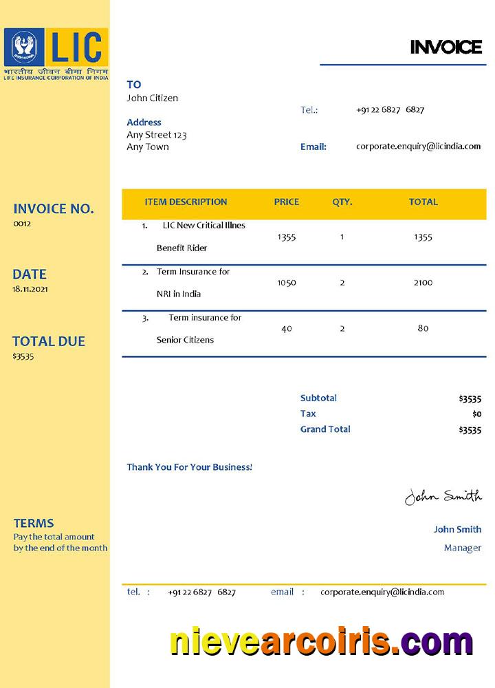 Editable USA LIC Invoice Template