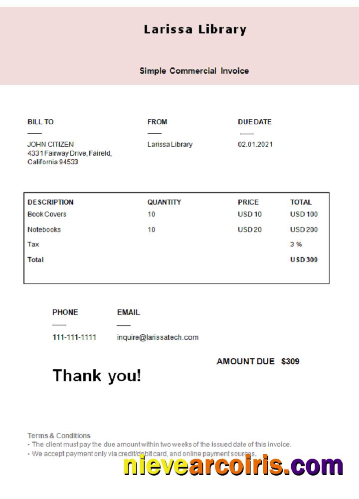 USA Larissa Library Invoice Sample
