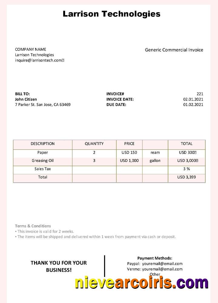 Premium USA Larrison Technologies Invoice Template