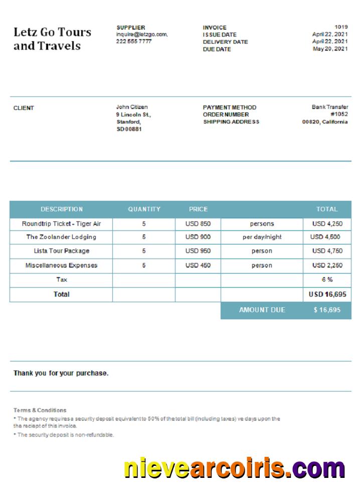 USA Letz Go Tours And Travels Invoice Template