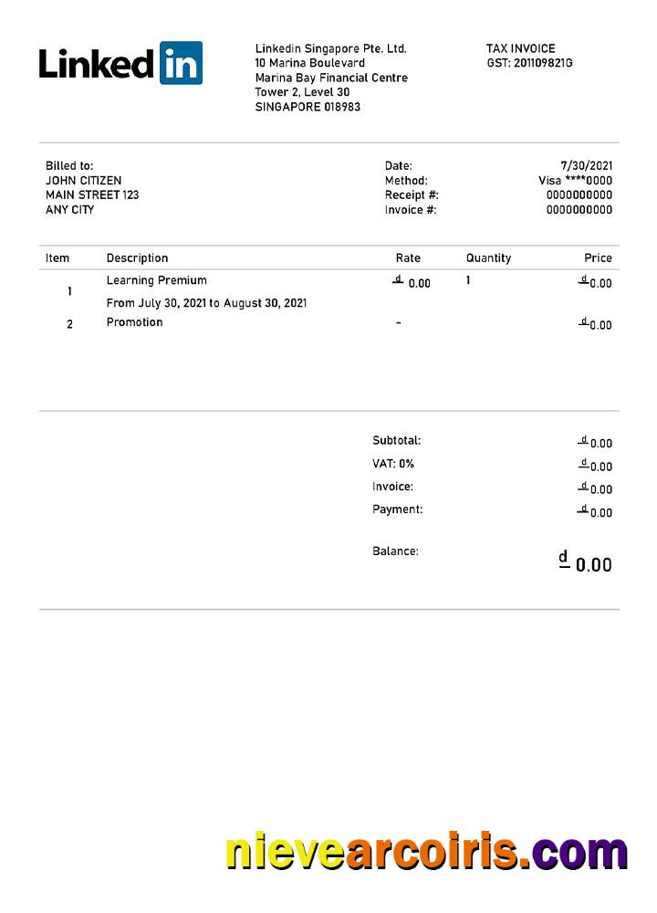 Professional USA Linkedin Invoice Template