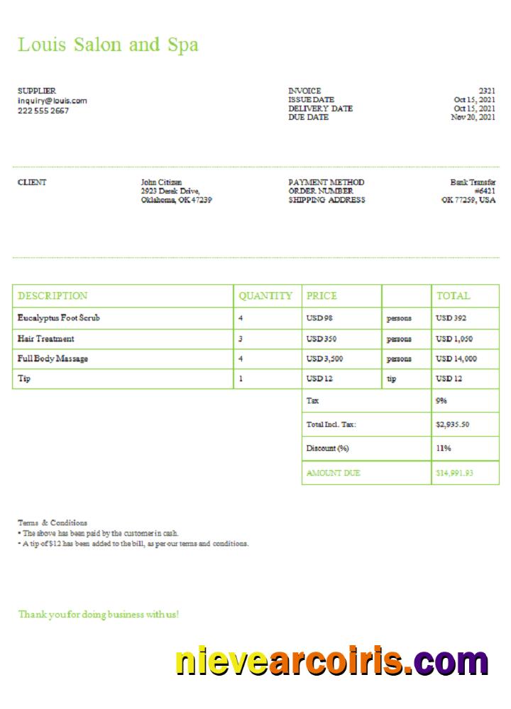 USA Louis Salon And Spa Invoice Template
