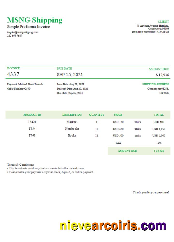 USA MSNG Shipping Invoice Preview