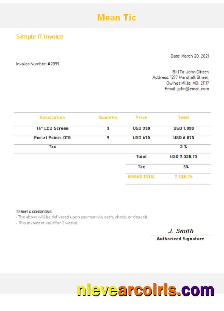 USA Mean Tic Invoice Sample