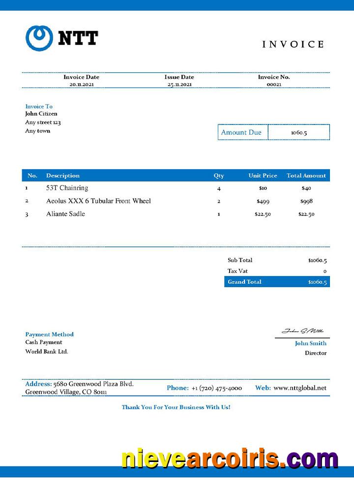 Professional USA NTT Invoice Template