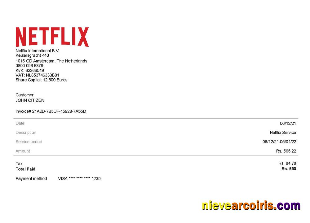 Realistic USA Netflix Invoice Template