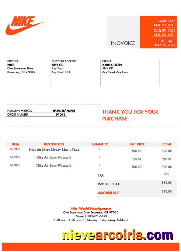 USA Nike Invoice Preview