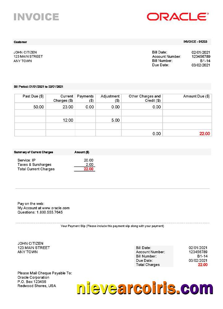 USA Oracle Invoice Sample