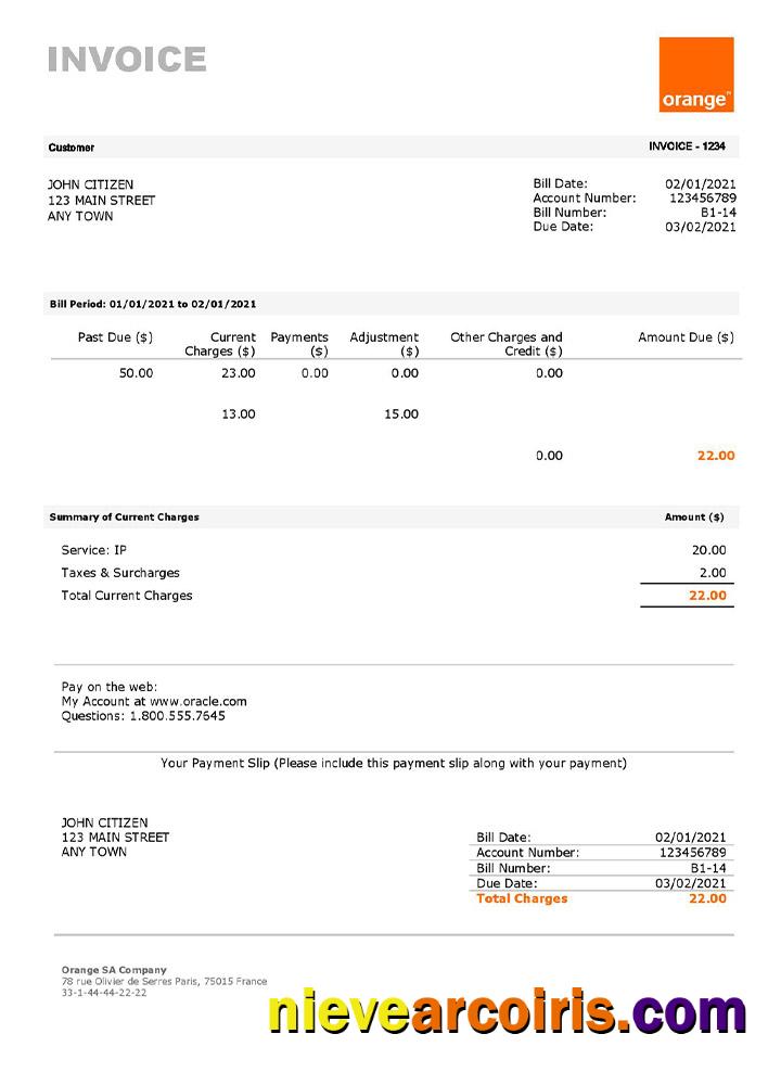 USA Orange Invoice Preview