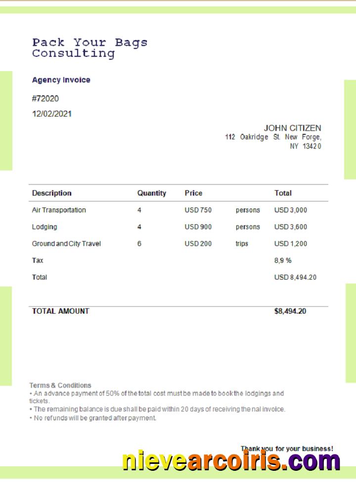 USA Pack Your Bags Consulting Invoice Sample