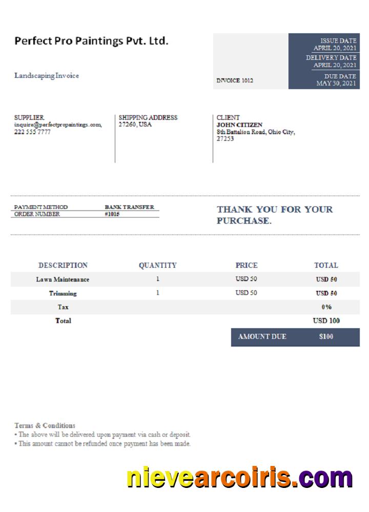 USA Perfect Pro Paintings Pvt. Ltd. Invoice Template