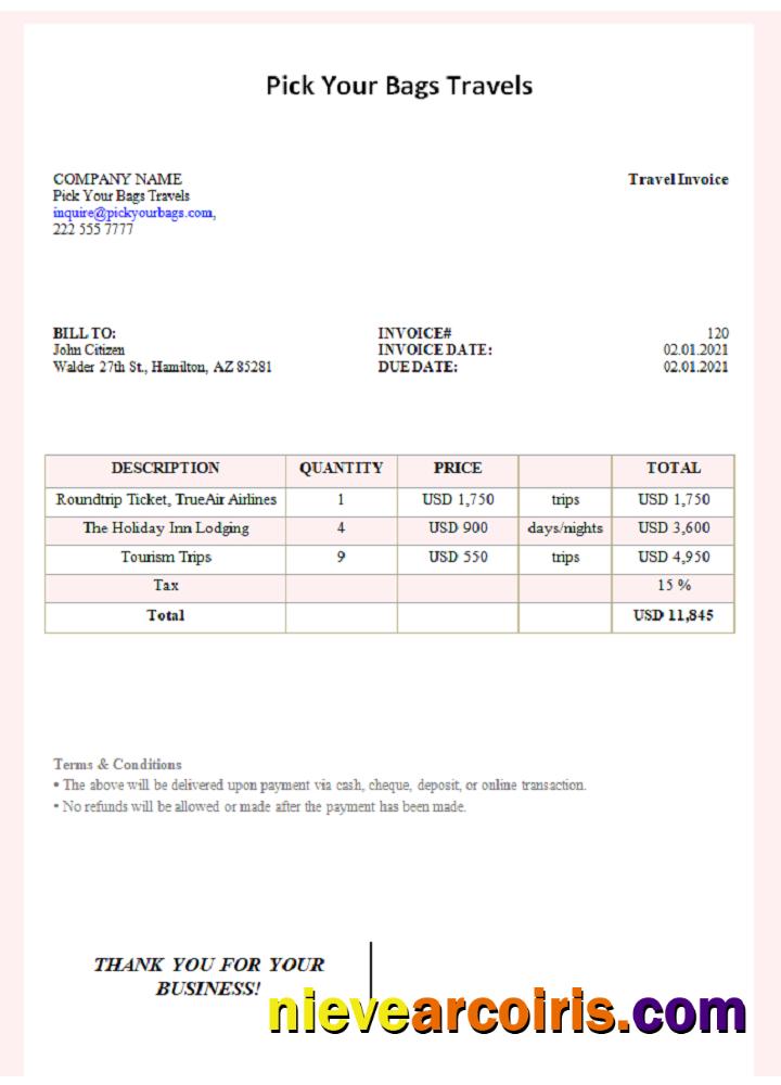 USA Pick Your Bags Travels Invoice Preview