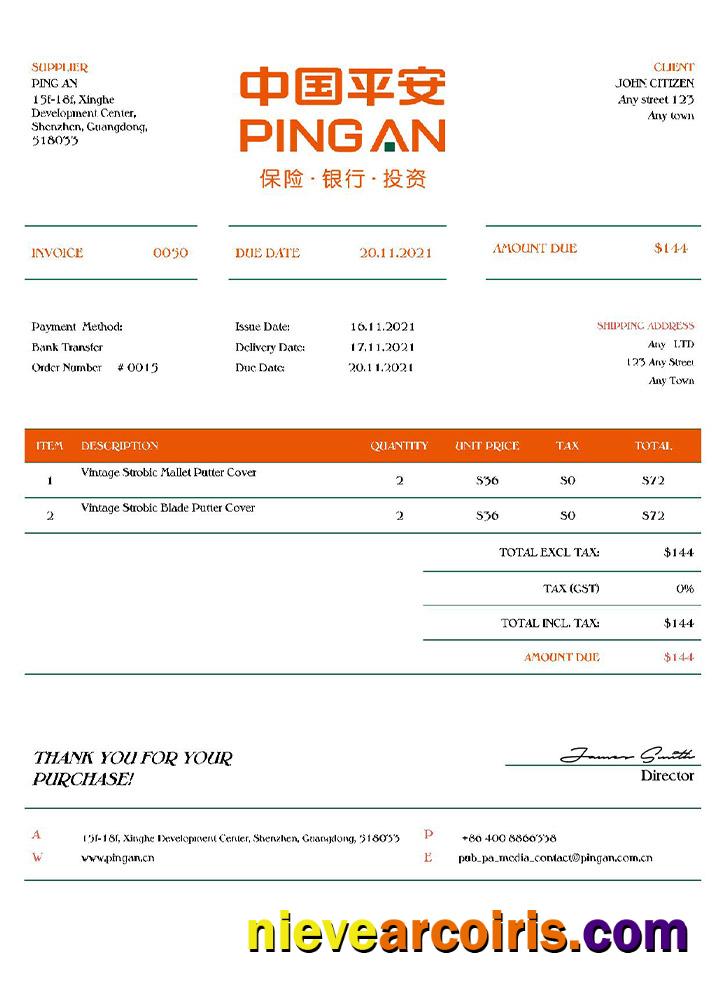 USA Ping An Invoice Photolook