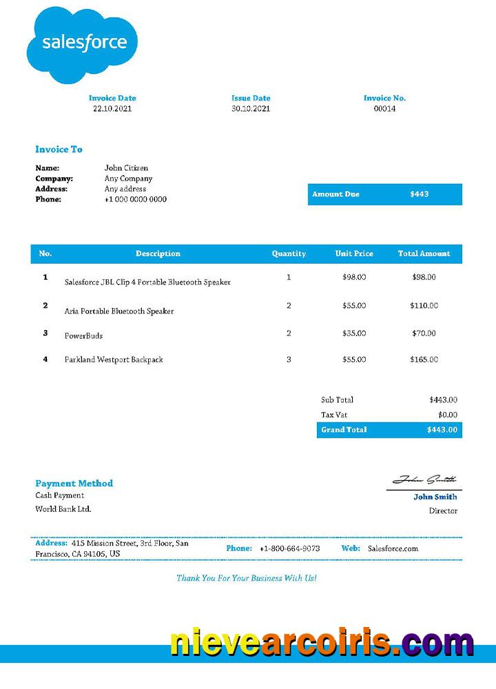 USA Salesforce Invoice Photolook