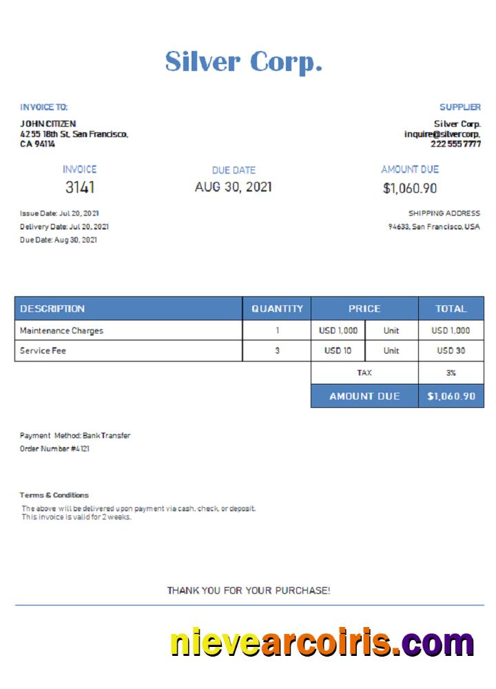 USA Silver Corp. Invoice Photolook