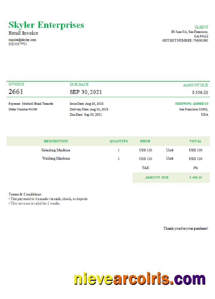 USA Skyler Enterprises Invoice Photolook