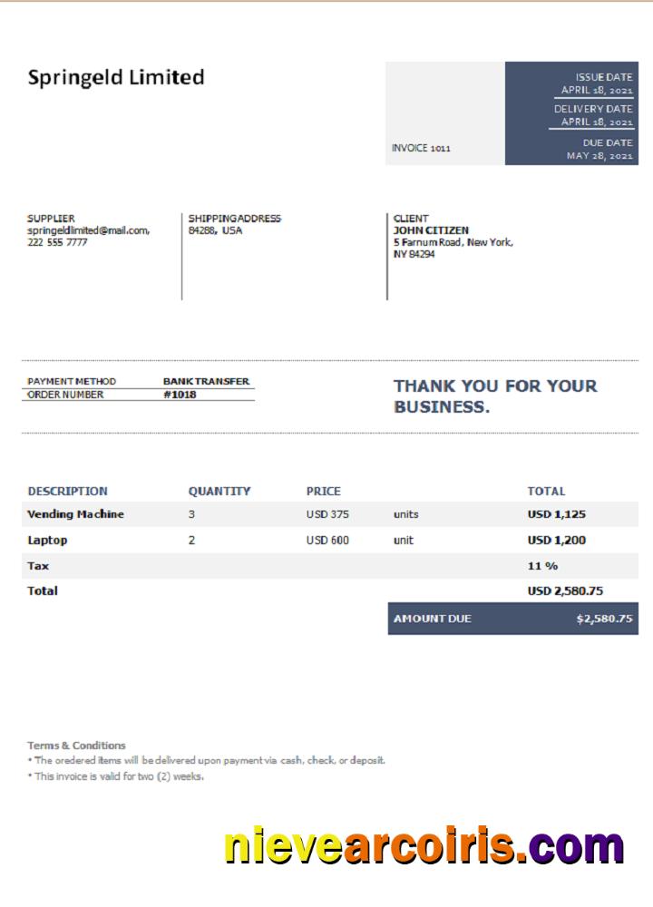 USA Springeld Limited Invoice Photolook