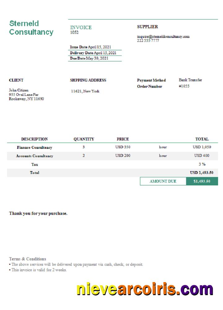 USA Sterneld Consultancy Invoice Preview