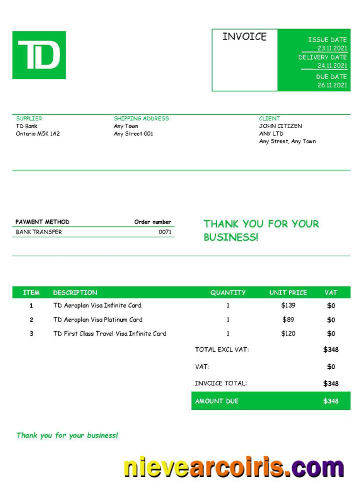 USA TD Invoice Preview