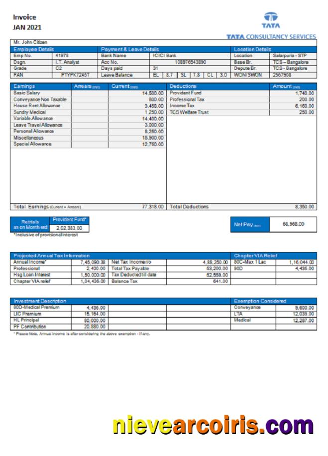 USA Tata Consulting Services Invoice Sample