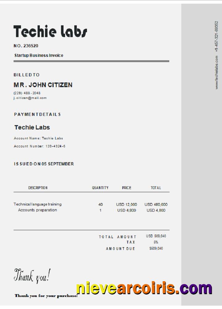 USA Techie Labs Invoice Template