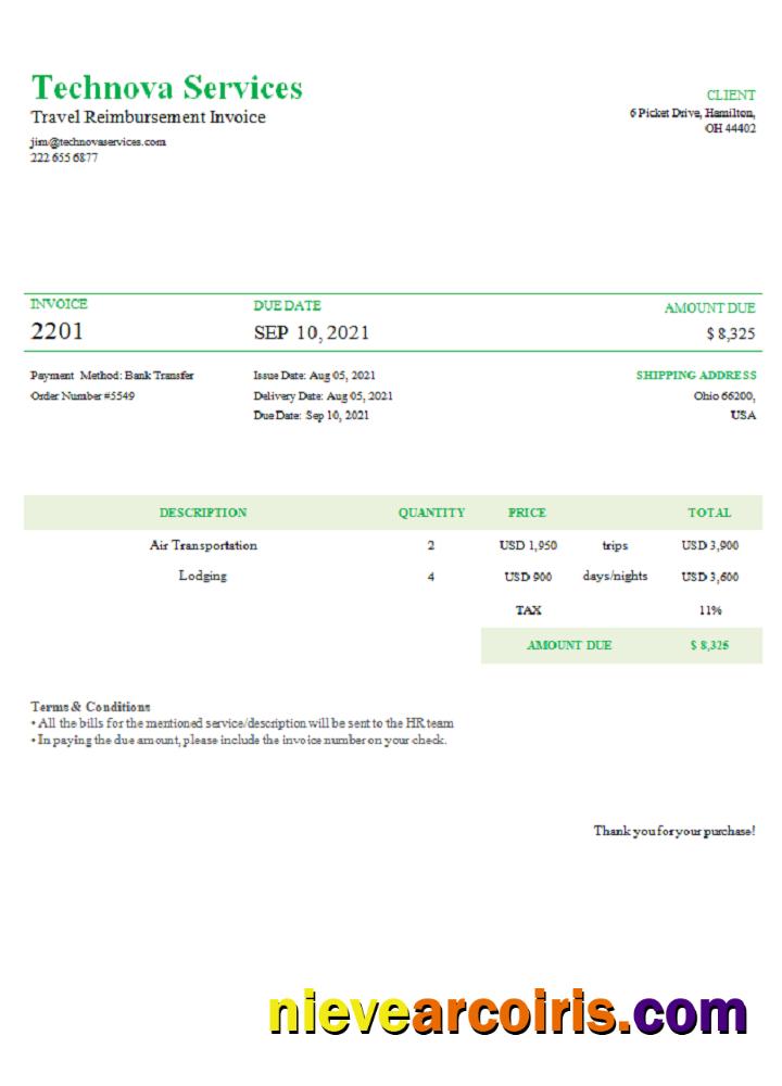 USA Technova Services Invoice Preview