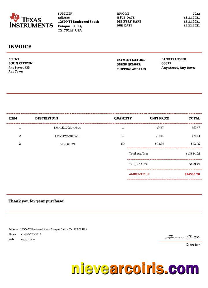 USA Texas Instruments Invoice Template