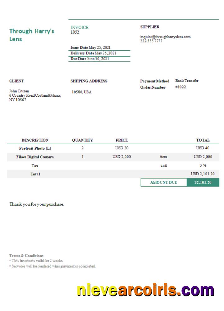 USA Through Harry’s Lens Invoice Template