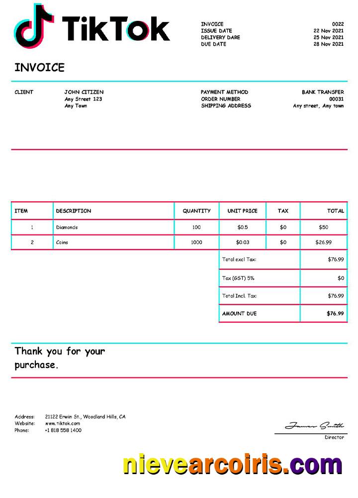 USA Tik Tok Invoice Preview