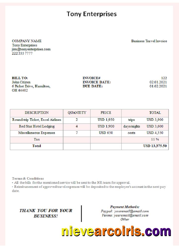 USA Tony Enterprises Invoice Photolook