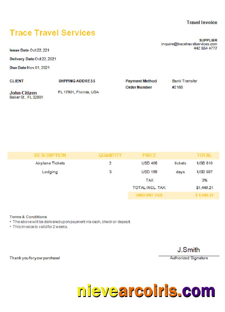 USA Trace Travel Services Invoice Preview