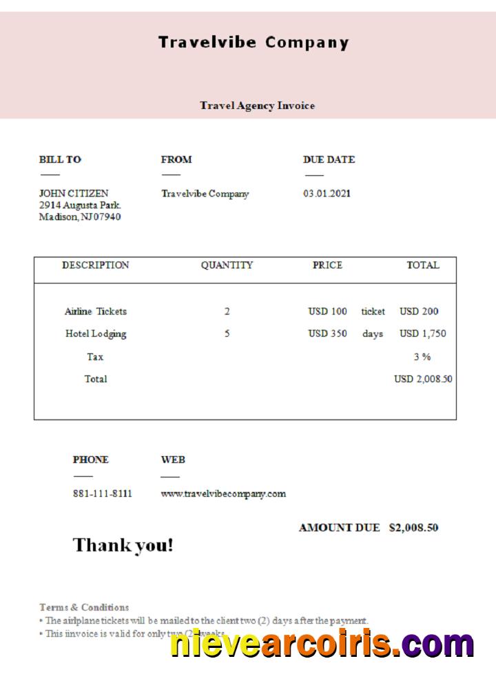 USA Travelvibe Company Invoice Sample