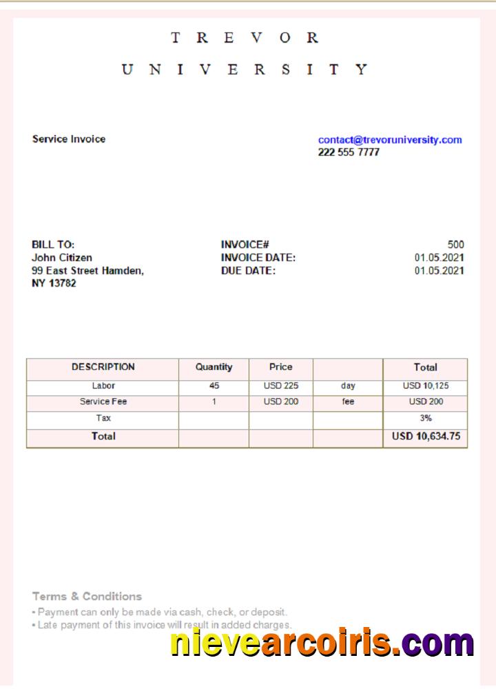 USA Trevor University Invoice Preview