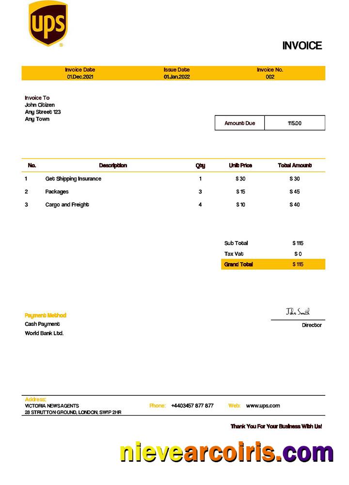 Editable USA UPS Invoice Template