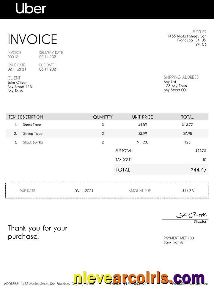Professional USA Uber Invoice Template