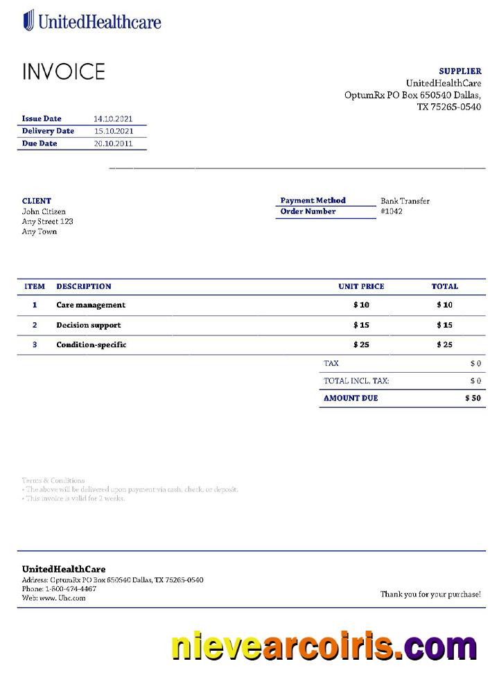 USA UnitedHealthCare Invoice Sample