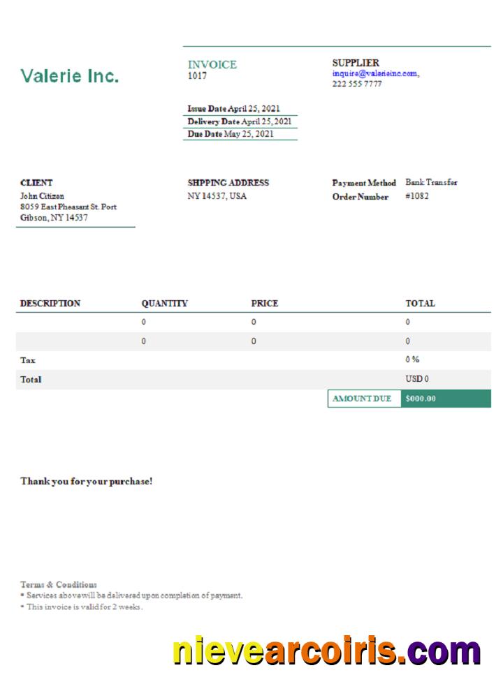 USA Valerie Inc. Invoice Photolook