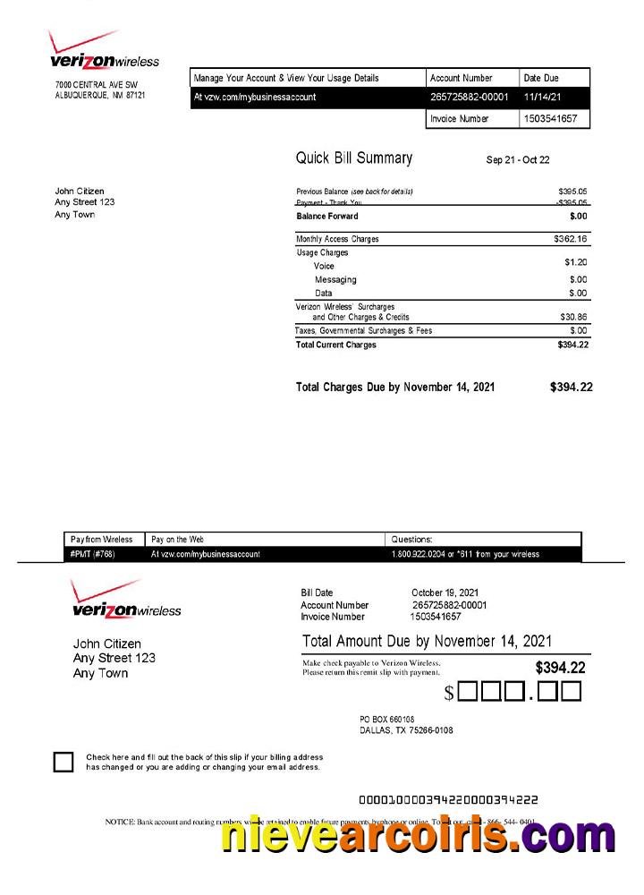 Professional USA Verizon Invoice Template