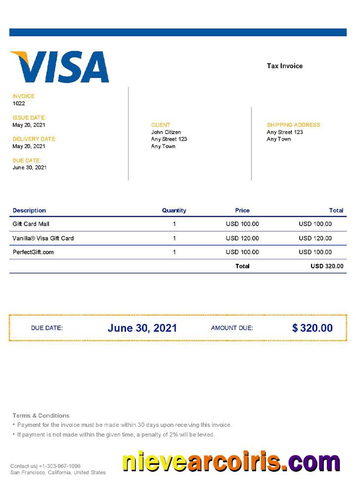 Professional USA Visa Invoice Template