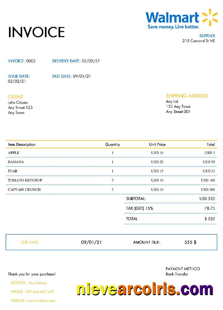 Professional USA Walmart Invoice Template