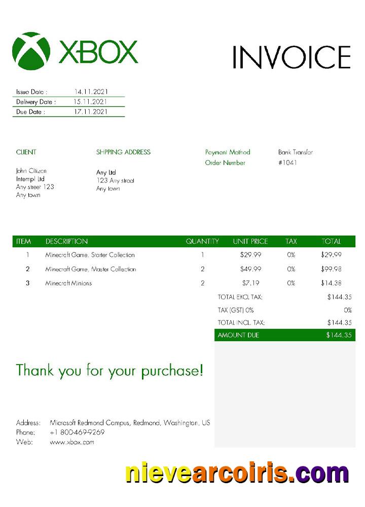 Premium USA Xbox Invoice Template