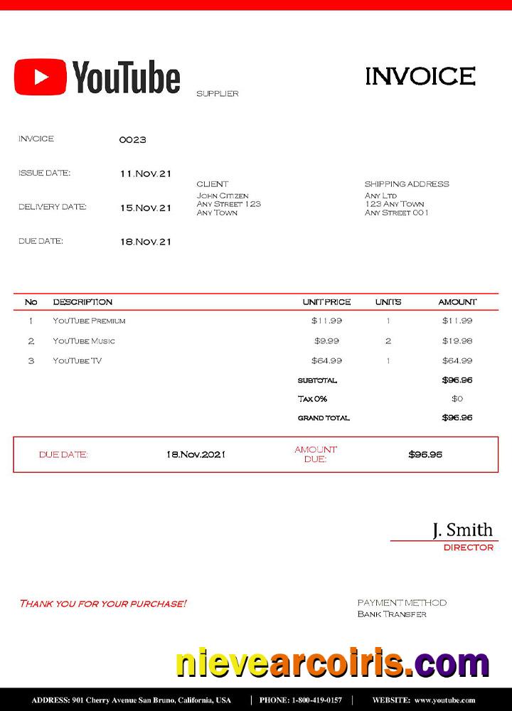 Professional USA Youtube Invoice Template