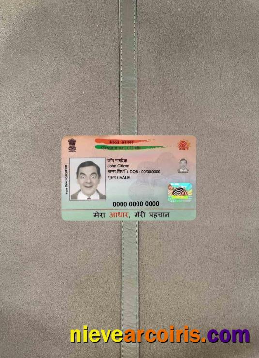 India Aadhaar PVC Card Photolook FRONT Template