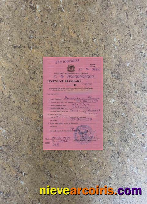Tanzania Business License Photolook FRONT Preview