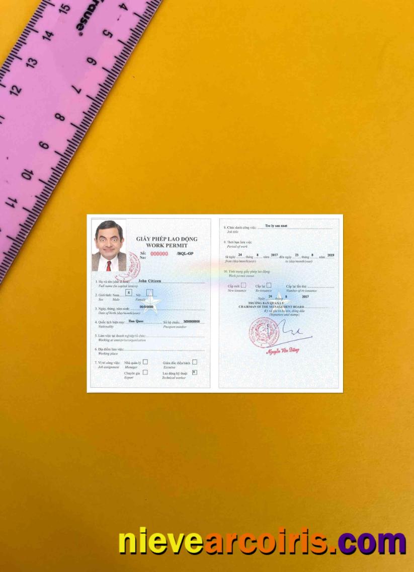 Vietnam Work Permit Version 2 Photolook Preview
