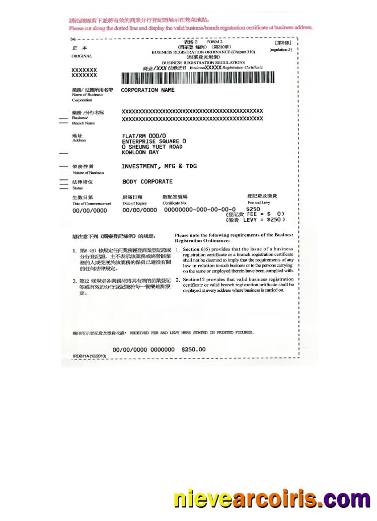 China Business Resgistration Regulations Template
