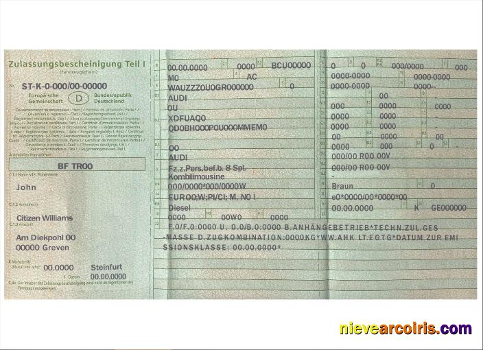 Germany Vehicle Registration Certificate Photolook