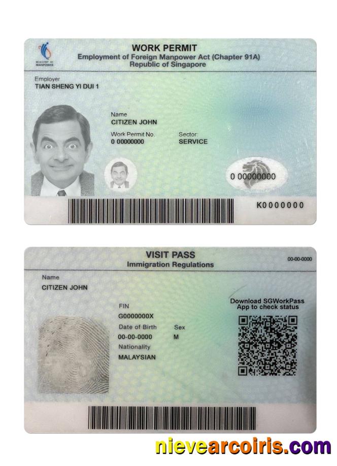 Singapore Work Permit Photolook
