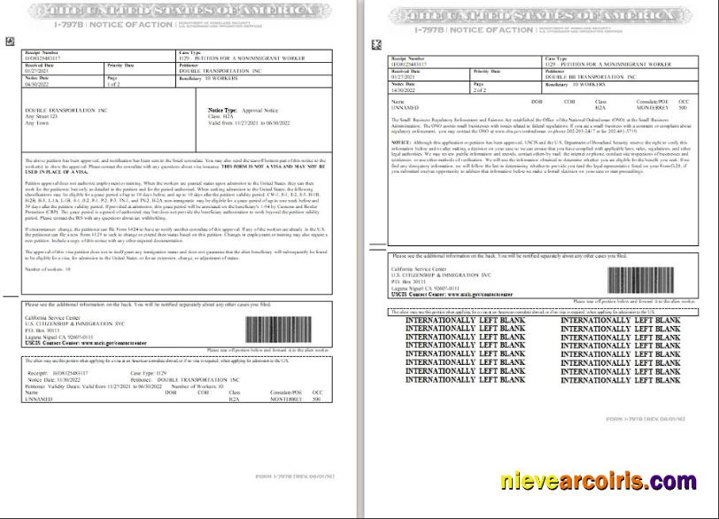 Realistic USA Form I 797B, Notice Of Action Template In Word And PDF Format (2 Pages)